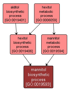 GO:0019593 - mannitol biosynthetic process (interactive image map)