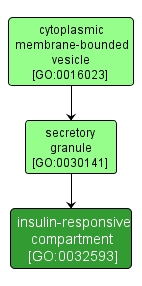 GO:0032593 - insulin-responsive compartment (interactive image map)