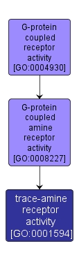 GO:0001594 - trace-amine receptor activity (interactive image map)