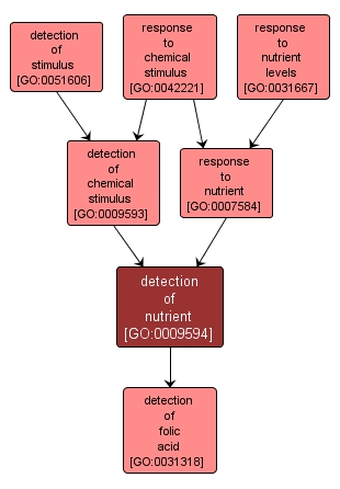 GO:0009594 - detection of nutrient (interactive image map)