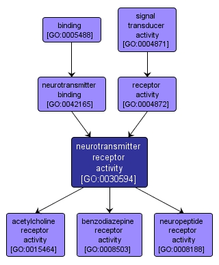 GO:0030594 - neurotransmitter receptor activity (interactive image map)