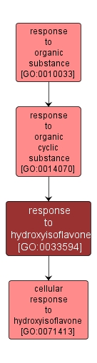 GO:0033594 - response to hydroxyisoflavone (interactive image map)