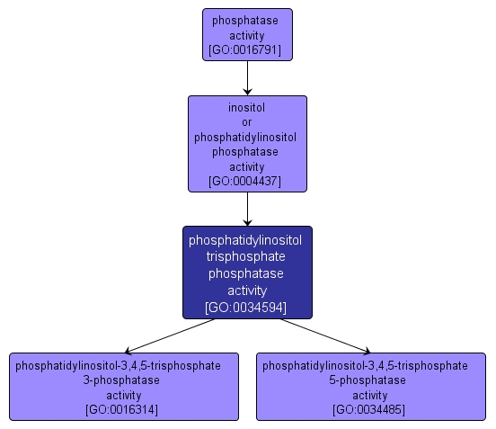 GO:0034594 - phosphatidylinositol trisphosphate phosphatase activity (interactive image map)