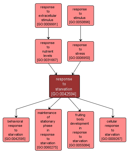 GO:0042594 - response to starvation (interactive image map)