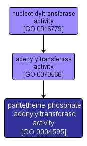 GO:0004595 - pantetheine-phosphate adenylyltransferase activity (interactive image map)