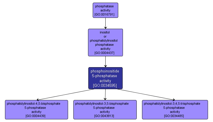 GO:0034595 - phosphoinositide 5-phosphatase activity (interactive image map)