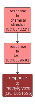 GO:0051595 - response to methylglyoxal (interactive image map)