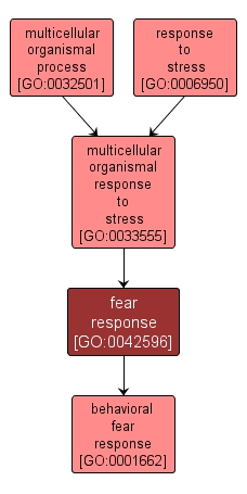 GO:0042596 - fear response (interactive image map)