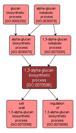 GO:0070596 - 1,3-alpha-glucan biosynthetic process (interactive image map)
