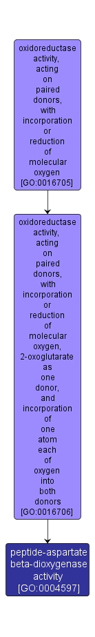 GO:0004597 - peptide-aspartate beta-dioxygenase activity (interactive image map)
