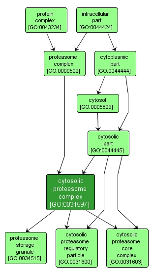 GO:0031597 - cytosolic proteasome complex (interactive image map)