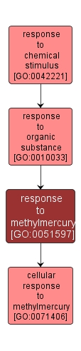 GO:0051597 - response to methylmercury (interactive image map)