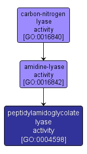 GO:0004598 - peptidylamidoglycolate lyase activity (interactive image map)