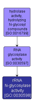 GO:0030598 - rRNA N-glycosylase activity (interactive image map)