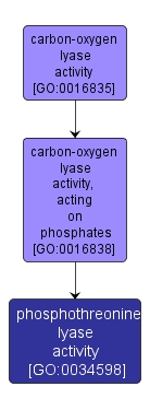 GO:0034598 - phosphothreonine lyase activity (interactive image map)