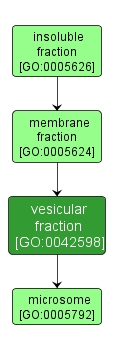 GO:0042598 - vesicular fraction (interactive image map)