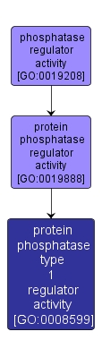 GO:0008599 - protein phosphatase type 1 regulator activity (interactive image map)