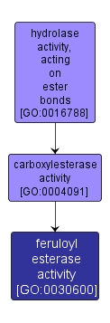 GO:0030600 - feruloyl esterase activity (interactive image map)