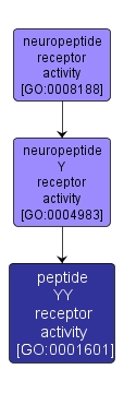 GO:0001601 - peptide YY receptor activity (interactive image map)