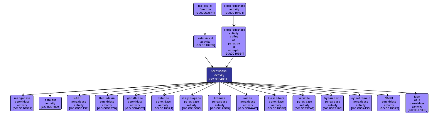 GO:0004601 - peroxidase activity (interactive image map)