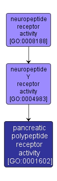 GO:0001602 - pancreatic polypeptide receptor activity (interactive image map)