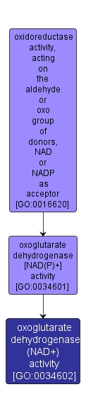 GO:0034602 - oxoglutarate dehydrogenase (NAD+) activity (interactive image map)