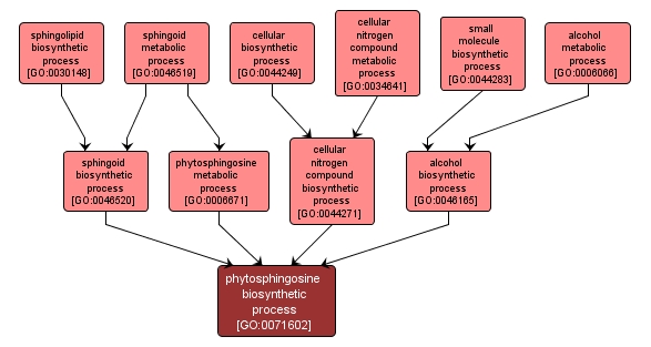 GO:0071602 - phytosphingosine biosynthetic process (interactive image map)