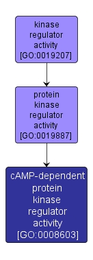 GO:0008603 - cAMP-dependent protein kinase regulator activity (interactive image map)