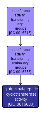 GO:0016603 - glutaminyl-peptide cyclotransferase activity (interactive image map)