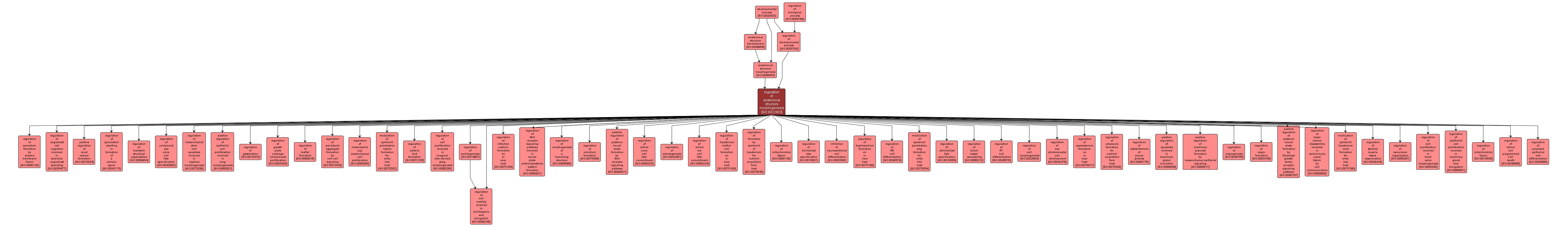 GO:0022603 - regulation of anatomical structure morphogenesis (interactive image map)