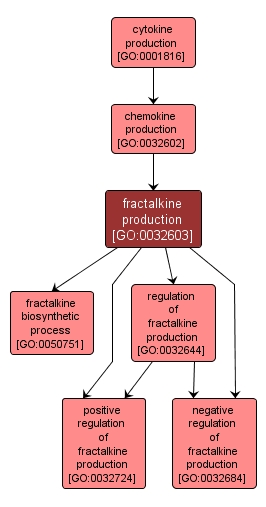 GO:0032603 - fractalkine production (interactive image map)