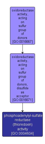 GO:0004604 - phosphoadenylyl-sulfate reductase (thioredoxin) activity (interactive image map)