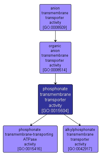 GO:0015604 - phosphonate transmembrane transporter activity (interactive image map)