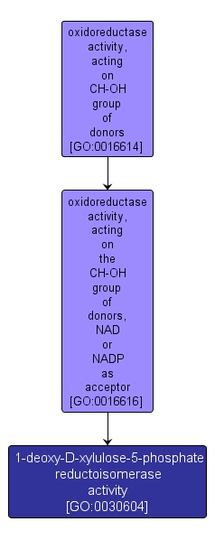 GO:0030604 - 1-deoxy-D-xylulose-5-phosphate reductoisomerase activity (interactive image map)