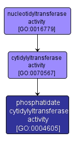 GO:0004605 - phosphatidate cytidylyltransferase activity (interactive image map)