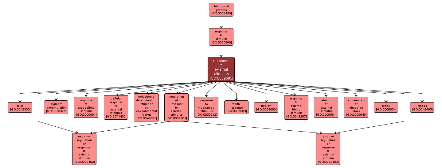 GO:0009605 - response to external stimulus (interactive image map)