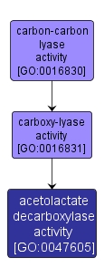 GO:0047605 - acetolactate decarboxylase activity (interactive image map)