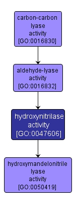 GO:0047606 - hydroxynitrilase activity (interactive image map)