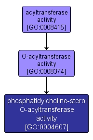GO:0004607 - phosphatidylcholine-sterol O-acyltransferase activity (interactive image map)