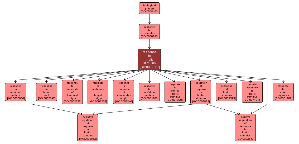 GO:0009607 - response to biotic stimulus (interactive image map)