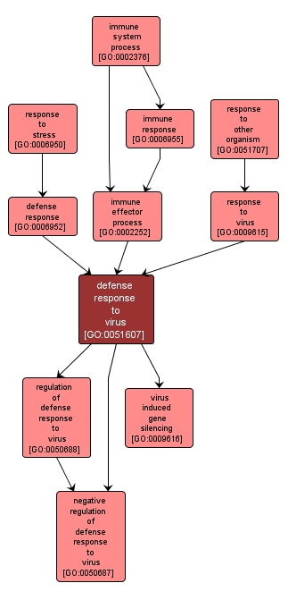 GO:0051607 - defense response to virus (interactive image map)