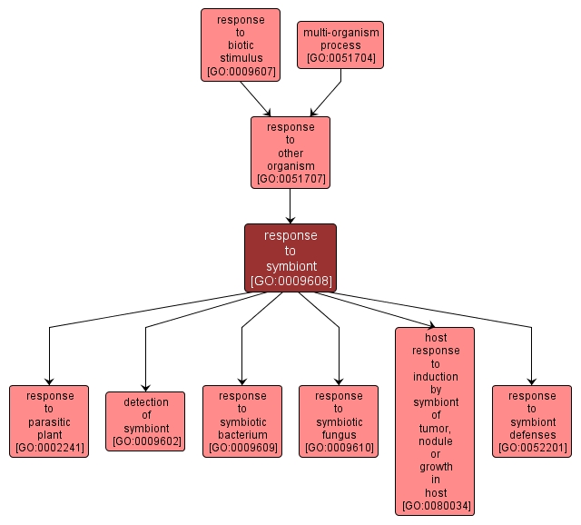 GO:0009608 - response to symbiont (interactive image map)