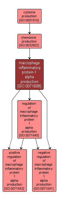GO:0071608 - macrophage inflammatory protein-1 alpha production (interactive image map)