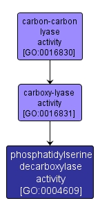GO:0004609 - phosphatidylserine decarboxylase activity (interactive image map)