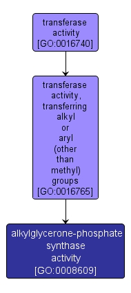 GO:0008609 - alkylglycerone-phosphate synthase activity (interactive image map)