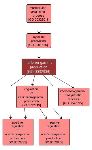 GO:0032609 - interferon-gamma production (interactive image map)