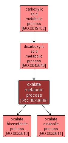 GO:0033609 - oxalate metabolic process (interactive image map)
