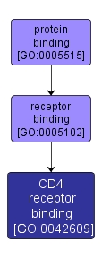 GO:0042609 - CD4 receptor binding (interactive image map)