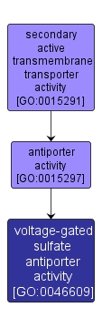 GO:0046609 - voltage-gated sulfate antiporter activity (interactive image map)