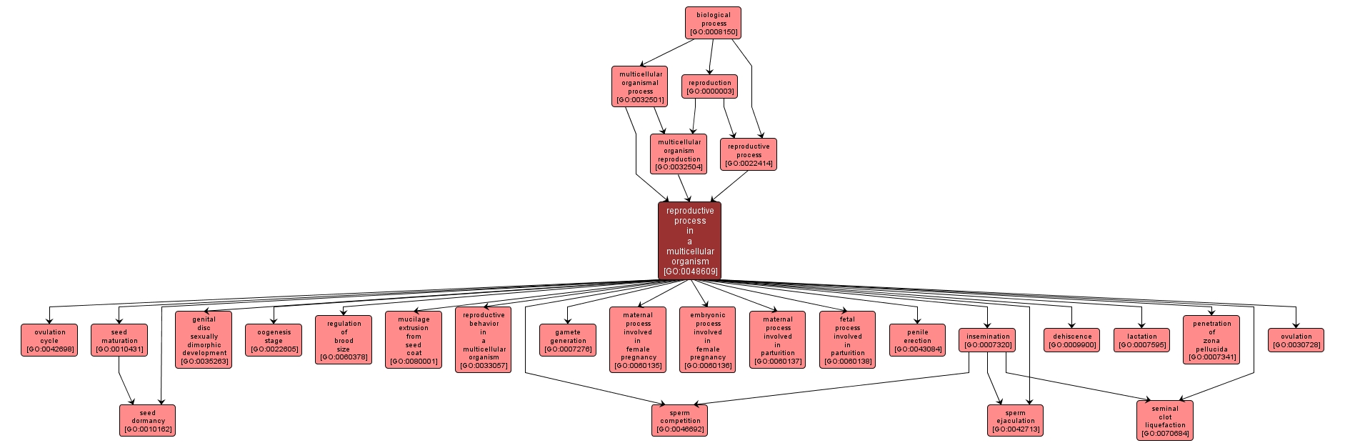 GO:0048609 - reproductive process in a multicellular organism (interactive image map)